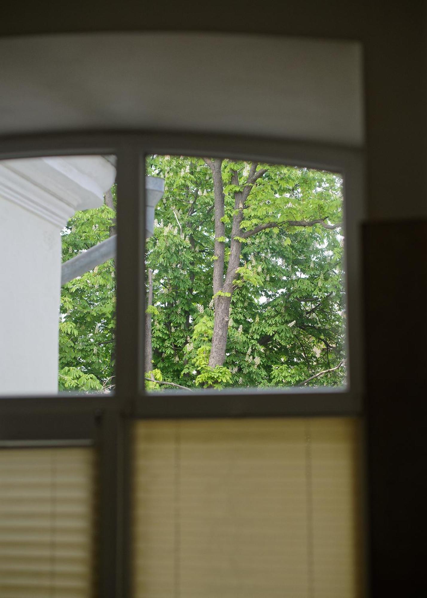 White Door Apartments Heart Of Odessa 1 Εξωτερικό φωτογραφία